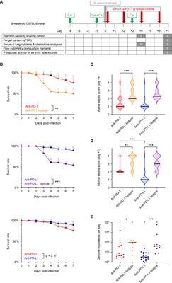 Blockade of the PD-1/PD-L1 Immune Checkpoint Pathway Improves Infection Outcomes and Enhances Fungicidal Host Defense in a Murine Model of Invasive Pulmonary Mucormycosis